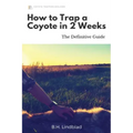 How To Trap a Coyote in 2 Weeks: The Definitive Guide