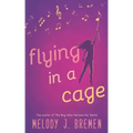 Flying in a Cage