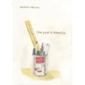 One Year in America