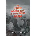 The Third World War Is in Progress Now