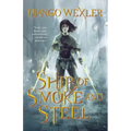 Ship of Smoke and Steel: The Wells of Sorcery, Book One