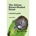 The African Brown-Headed Parrot