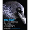 Bird Brain: An Exploration of Avian Intelligence