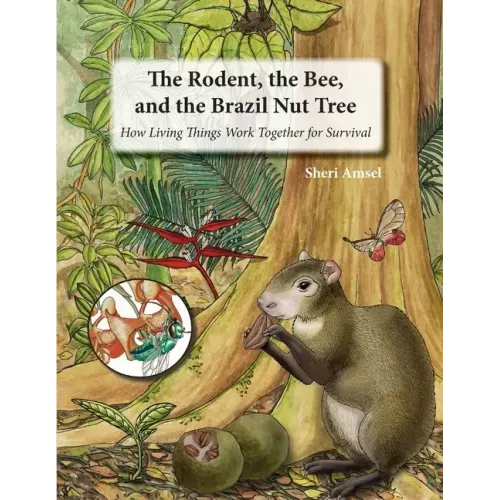 The Rodent, the Bee, and the Brazil Nut Tree: How Living Things Work Together for Survival