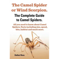 The Camel Spider or Wind Scorpion. the Complete Guide to Camel Spiders. All You Need to Know about Camel Spiders. Facts Including Size, Speed, Bite an