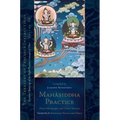 Mahasiddha Practice: From Mitrayogin and Other Masters, Volume 16 (the Treasury of Precious Instructions)