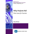 Why Projects Fail: Nine Laws for Success