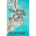 Tearing Down the Wall