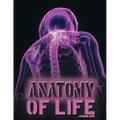 Anatomy of Life