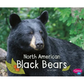 North American Black Bears