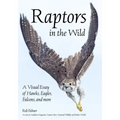 Raptors in the Wild: A Visual Essay of Hawks, Eagles, Falcons and More