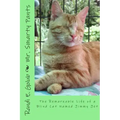 Mr. Smarty Pants: The Remarkable Life of a Blind Cat Named Jimmy Jet