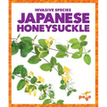 Japanese Honeysuckle