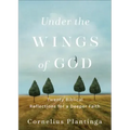 Under the Wings of God: Twenty Biblical Reflections for a Deeper Faith