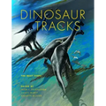 Dinosaur Tracks: The Next Steps