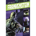 Frankenstein: A Graphic Novel