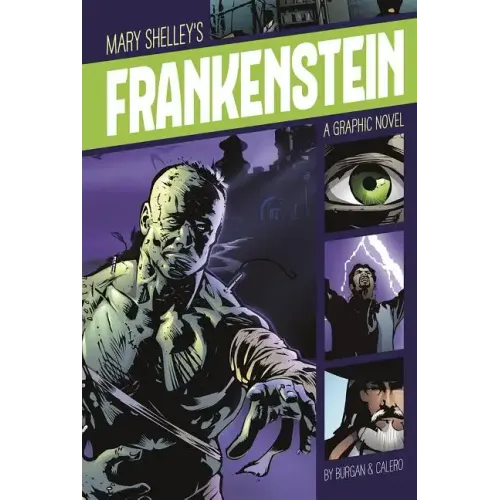 Frankenstein: A Graphic Novel