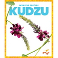 Kudzu