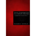 Seven Congregations in a Roman Crucible