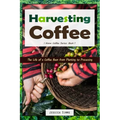 Harvesting Coffee: The Life of a Coffee Bean from Planting to Processing