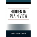 Hidden in Plain View