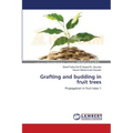 Grafting and budding in fruit trees