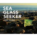 Sea Glass Seeker