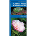 Alabama Trees & Wildflowers: A Folding Pocket Guide to Familiar Plants