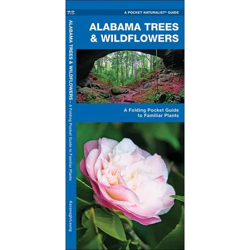 Alabama Trees & Wildflowers: A Folding Pocket Guide to Familiar Plants