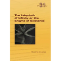 The Labyrinth of Infinity or the Enigma of Existence