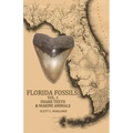 Florida Fossils: Shark Teeth & Marine Animals