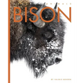 Bison