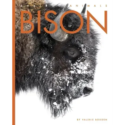 Bison