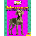 Weimaraners