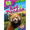 Red Pandas