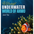 The wonderful underwater world of Ahmo