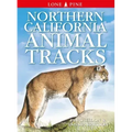 Northern California Animal Tracks