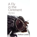 A Fly in the Ointment: Short Stories