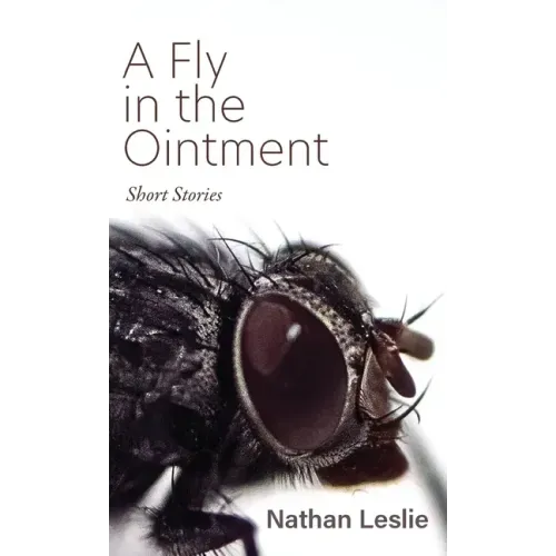 A Fly in the Ointment: Short Stories