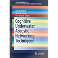 Cognitive Underwater Acoustic Networking Techniques