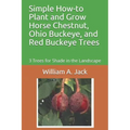 Simple How-To Plant and Grow Horse Chestnut, Ohio Buckeye, and Red Buckeye Trees: 3 Trees for Shade in the Landscape