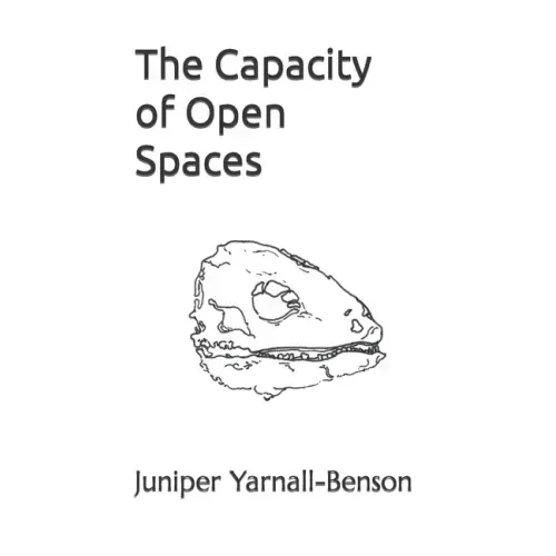 The Capacity of Open Spaces