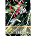 Protect the Butterflies