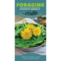 Foraging in North America: The Top 12 Plants to Seek Out