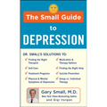 The Small Guide to Depression
