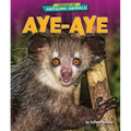 Aye-Aye