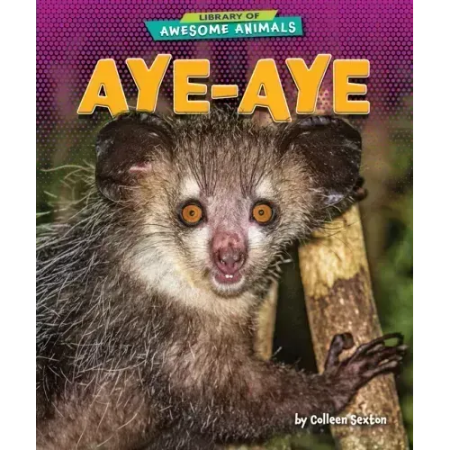 Aye-Aye
