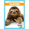 Sloths
