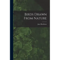Birds Drawn From Nature