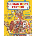 The Human Body Factory: A Guide to Your Insides